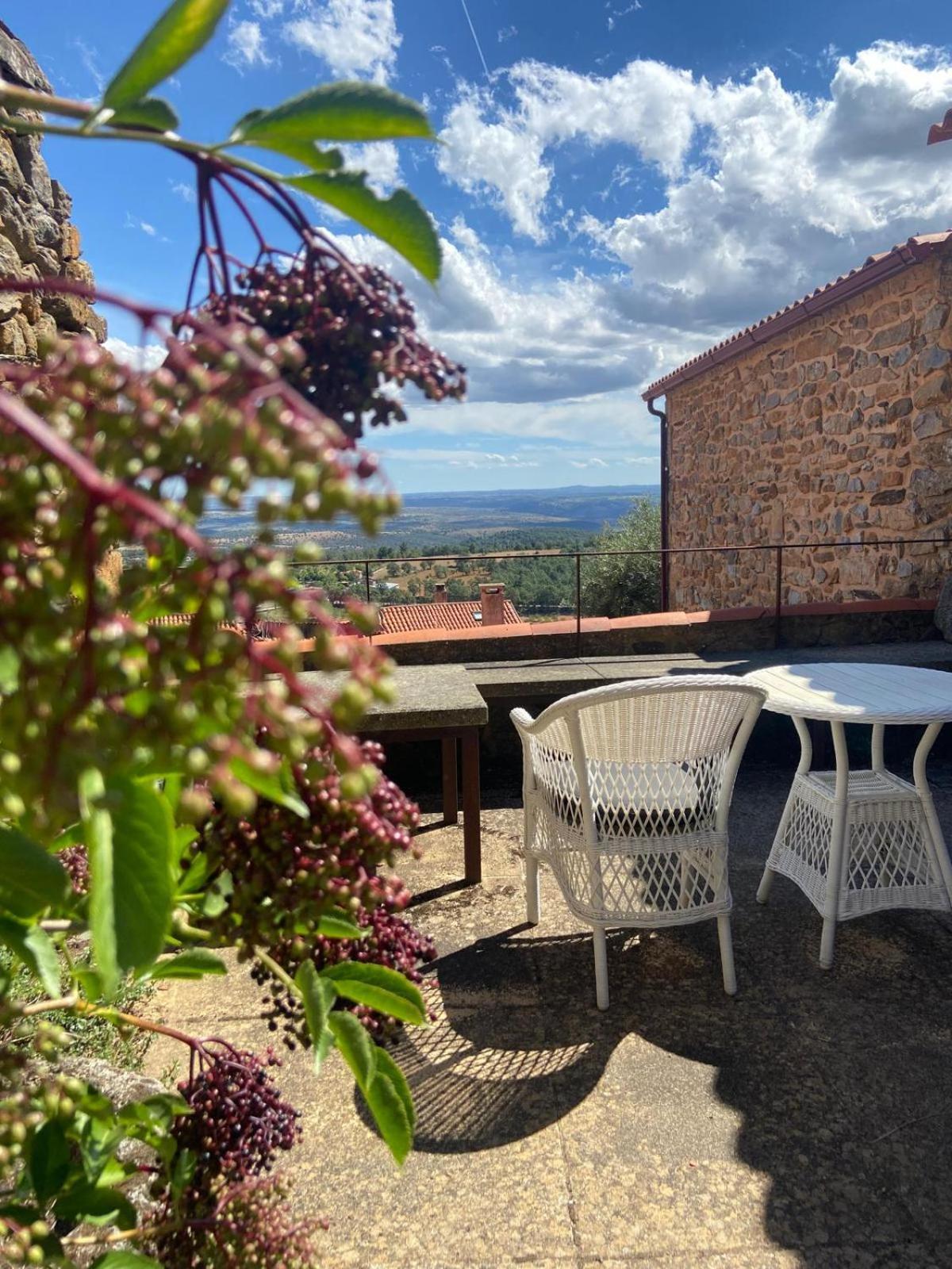 Casa Da Cisterna Guest House Figueira de Castelo Rodrigo Eksteriør bilde