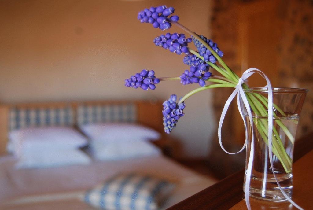 Casa Da Cisterna Guest House Figueira de Castelo Rodrigo Eksteriør bilde
